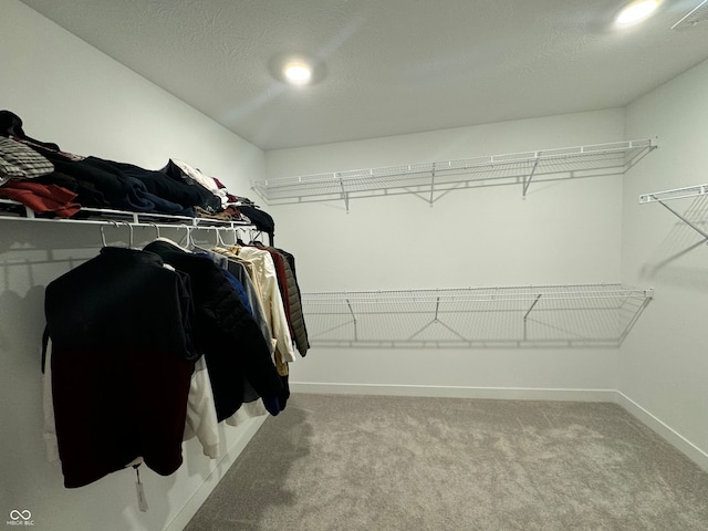 spacious closet with carpet flooring