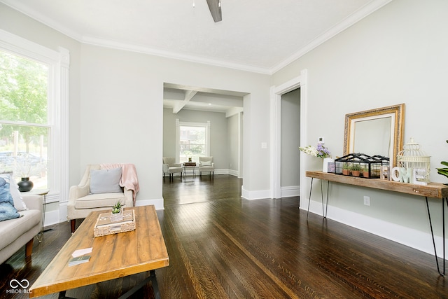 interior space with dark wood-type flooring, ceiling fan, beamed ceiling, and ornamental molding