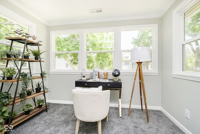 carpeted office with crown molding