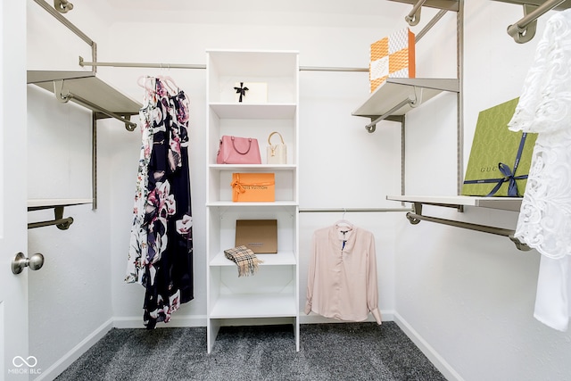 spacious closet with dark colored carpet