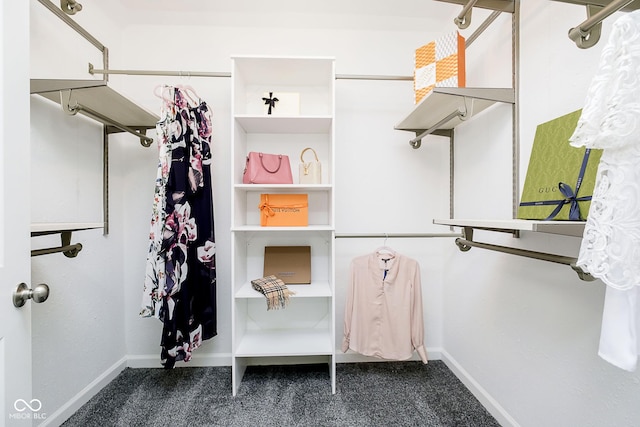 408 W 11th St, Anderson, IN 46016 - spacious closet featuring carpet