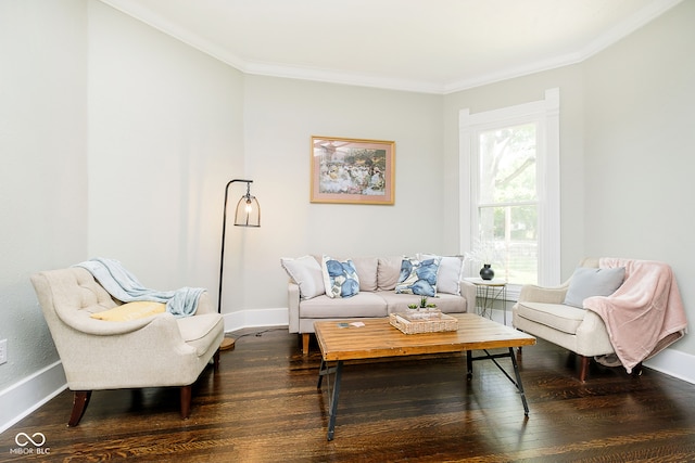 living area featuring dark wood-type flooring and crown molding