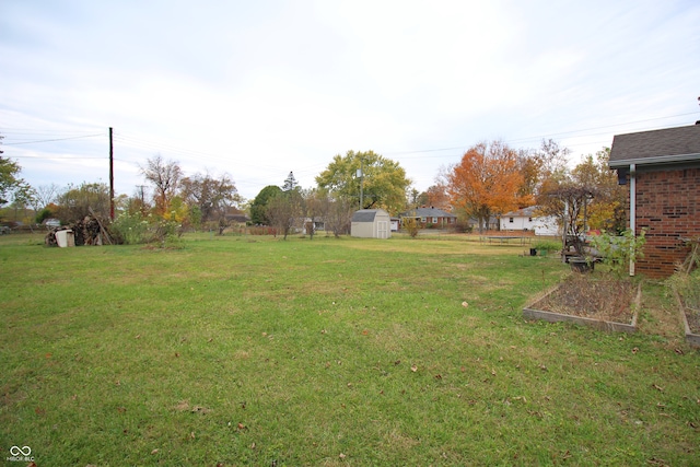 view of yard featuring a storage unit