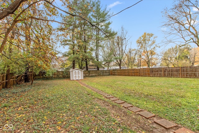 view of yard with a storage shed