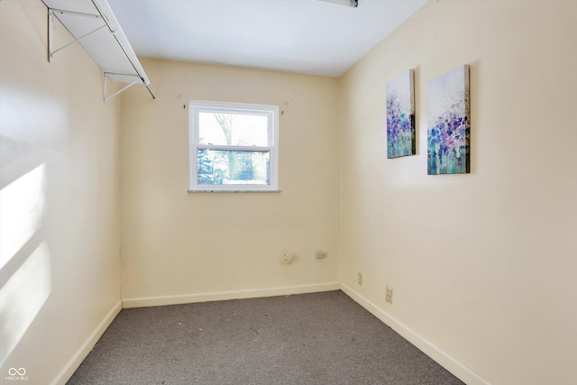 interior space featuring carpet flooring