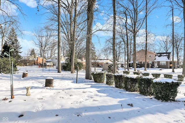 view of yard covered in snow