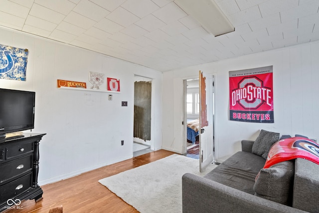 living room featuring wood-type flooring