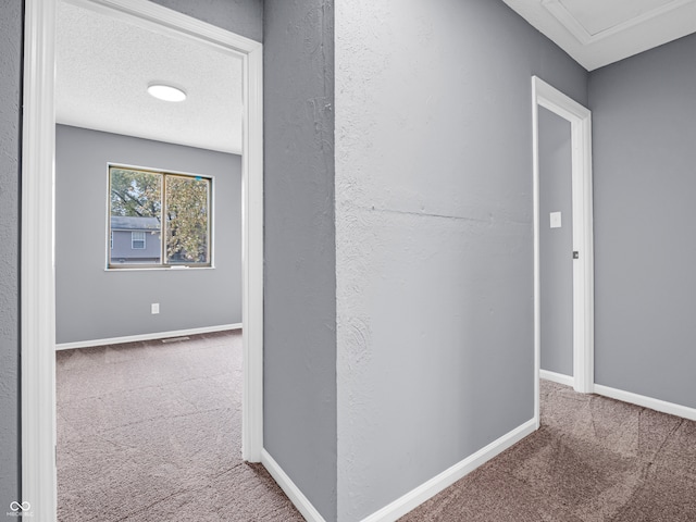 corridor featuring a textured ceiling and carpet flooring