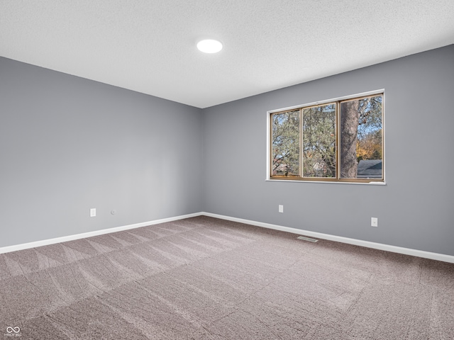 empty room with carpet flooring and a textured ceiling