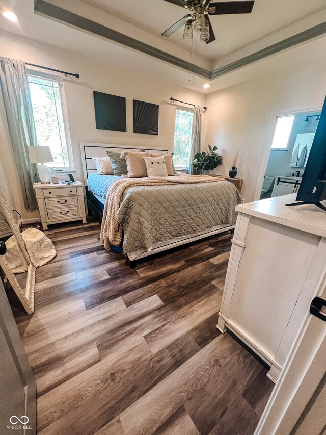 bedroom with dark wood-type flooring, ceiling fan, and a raised ceiling