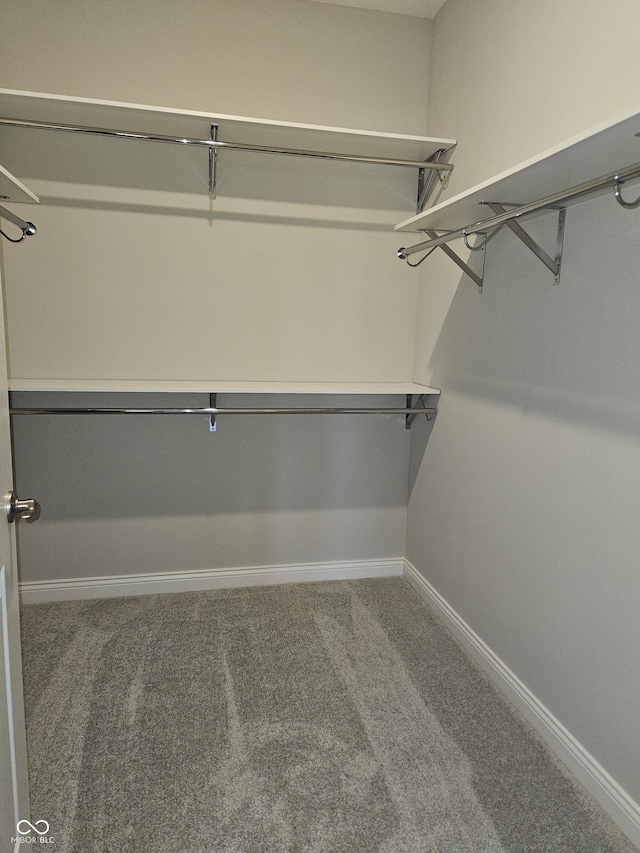 walk in closet with carpet