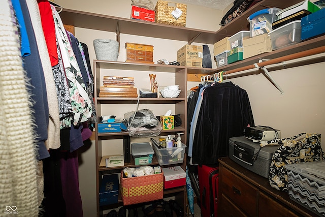 view of walk in closet