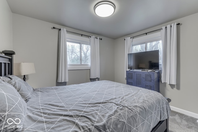 bedroom featuring multiple windows and carpet flooring