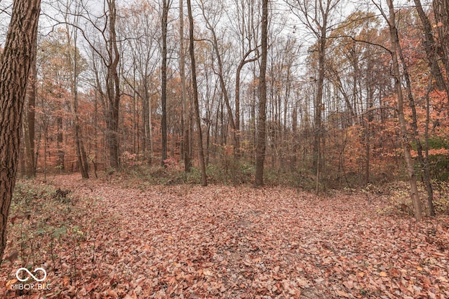 8190 Beech Grove Rd, Martinsville, IN 46151 - view of woods