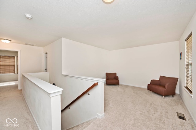 sitting room featuring a textured ceiling, light carpet, and a healthy amount of sunlight