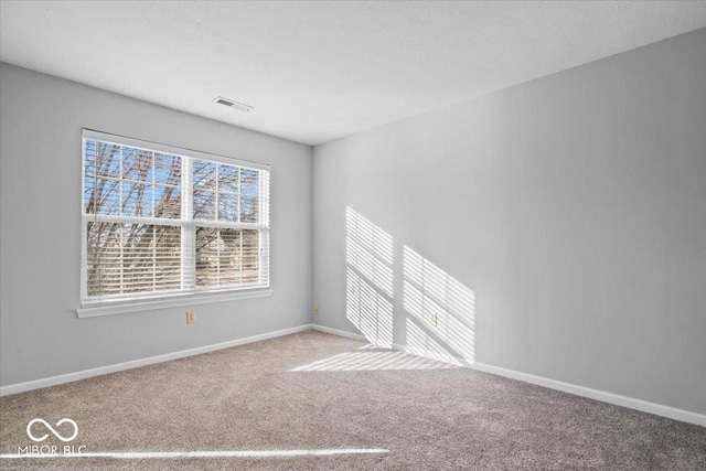 spare room with carpet floors