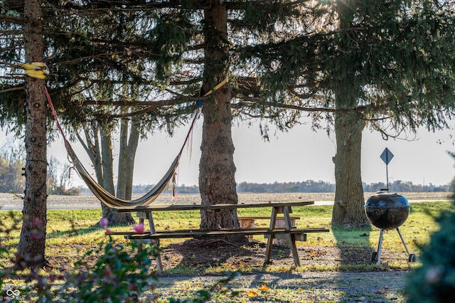 view of yard with a rural view