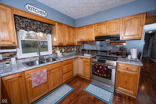 kitchen featuring stainless steel electric stove, extractor fan, sink, and dark hardwood / wood-style flooring