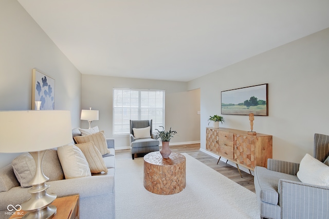 living room with light wood-type flooring