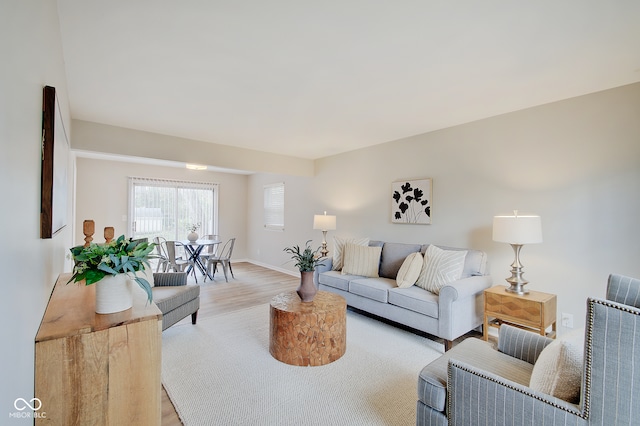 living room with light hardwood / wood-style floors