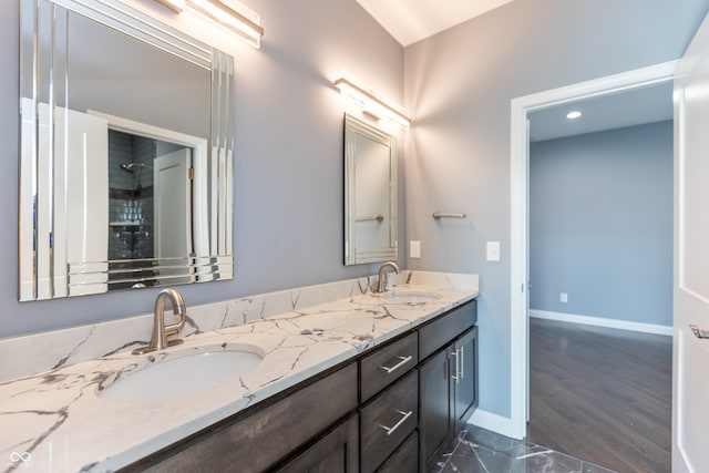 bathroom featuring wood-type flooring and vanity