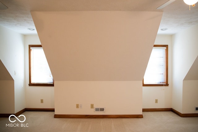 additional living space with light colored carpet, a healthy amount of sunlight, and a textured ceiling