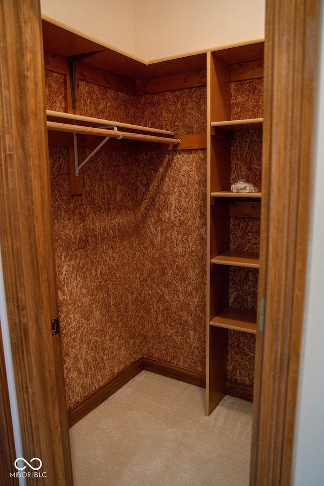 walk in closet with carpet