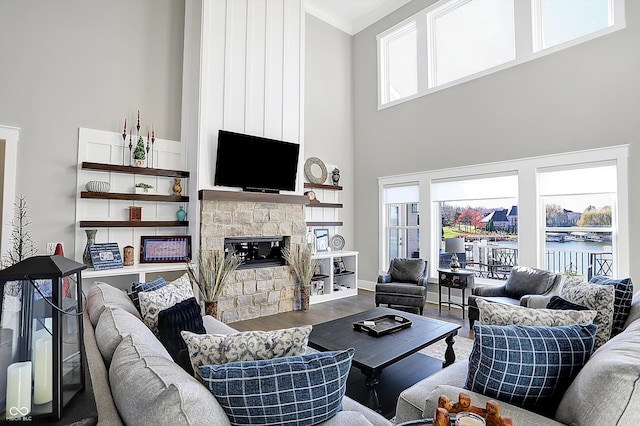 living room with hardwood / wood-style floors, a stone fireplace, a healthy amount of sunlight, and a high ceiling