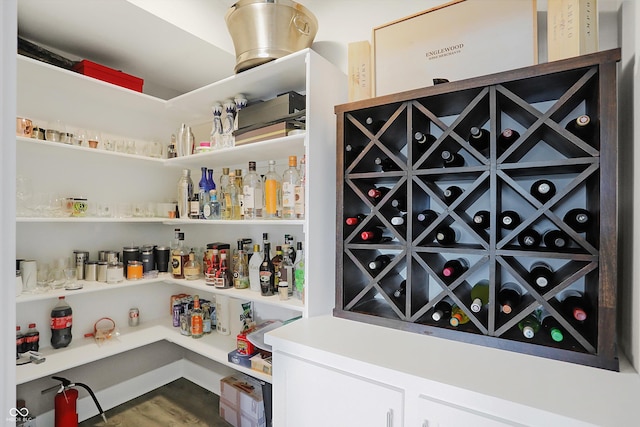 wine area with hardwood / wood-style floors