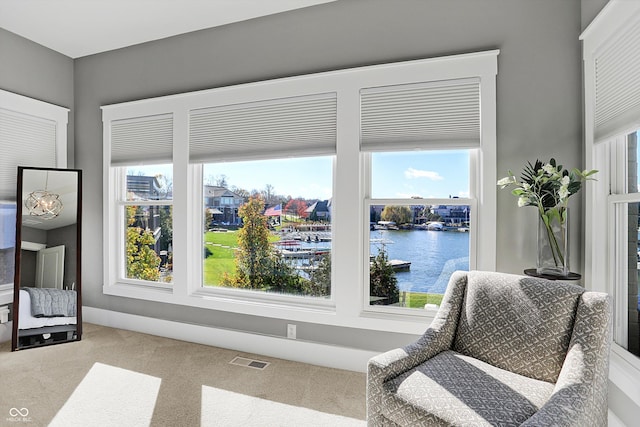 living area with carpet flooring, plenty of natural light, and a water view