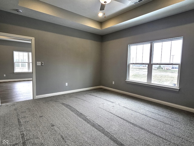 spare room featuring ceiling fan, a healthy amount of sunlight, carpet, and a raised ceiling