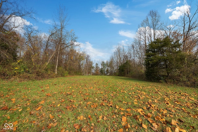 view of landscape