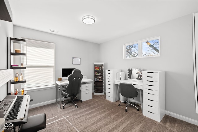 office area featuring carpet flooring