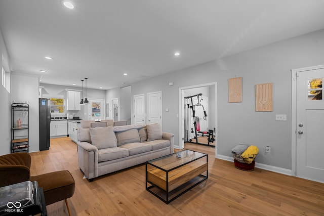 living room with light hardwood / wood-style flooring