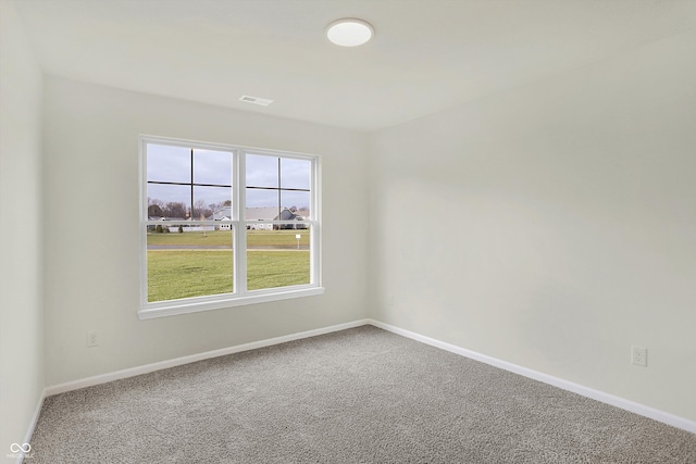 spare room featuring carpet floors