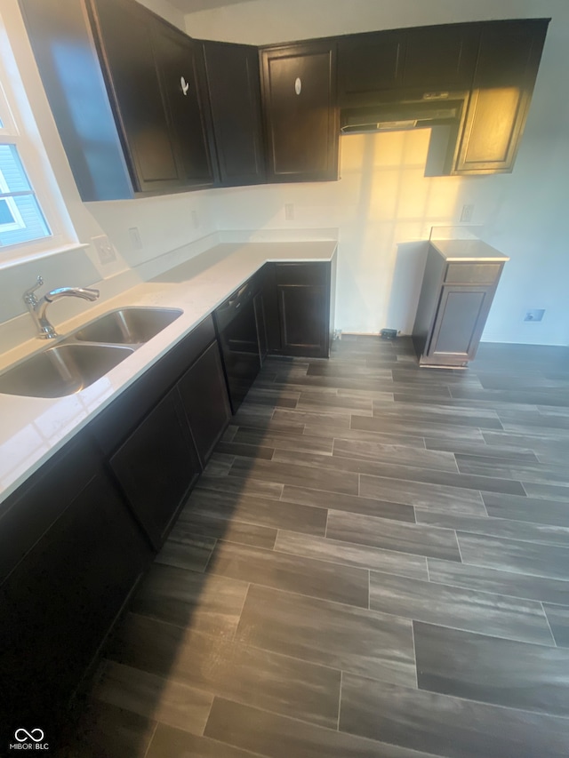 kitchen with dark brown cabinets, hardwood / wood-style floors, and sink