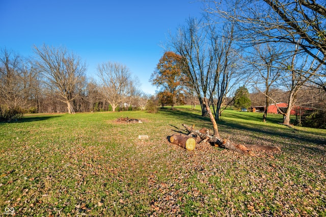 view of yard