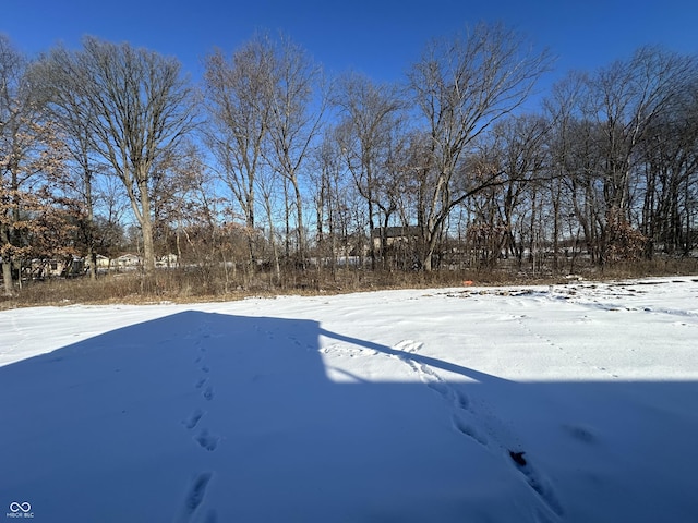 view of yard covered in snow