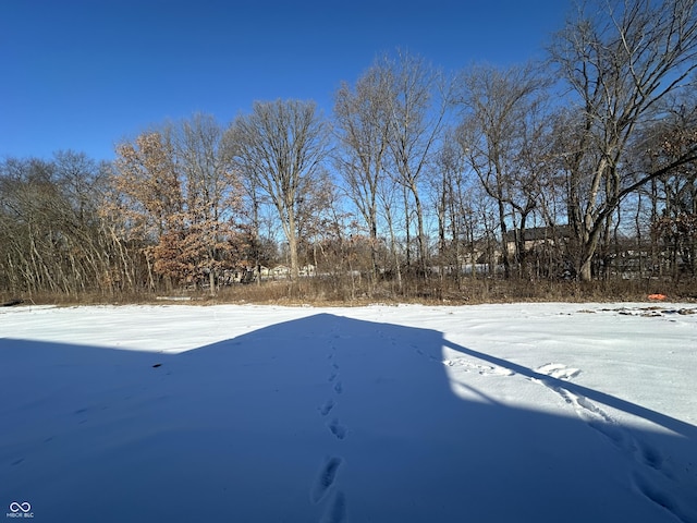 view of yard covered in snow