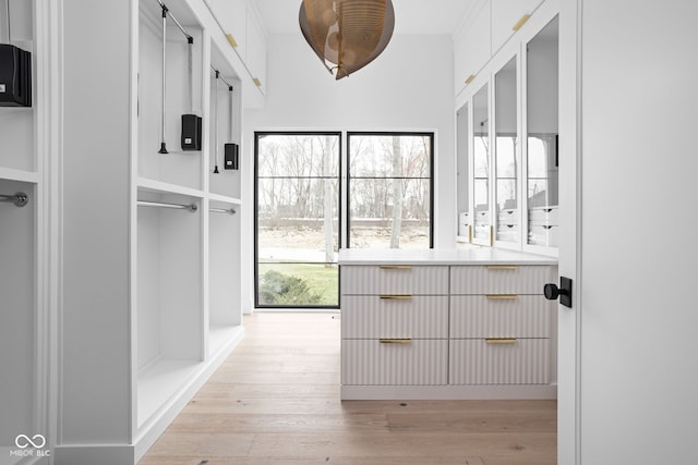 spacious closet featuring light hardwood / wood-style floors