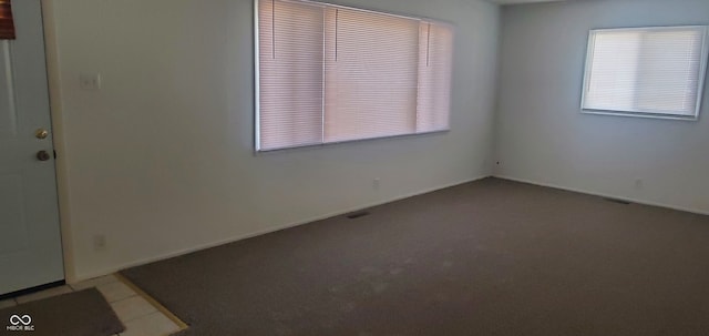 spare room featuring light carpet and a healthy amount of sunlight