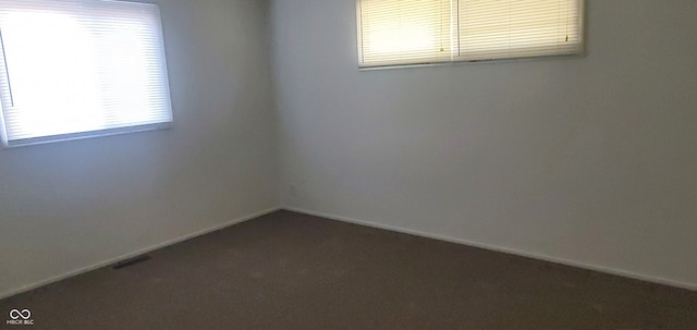 carpeted empty room featuring a wealth of natural light