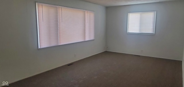 empty room with carpet and plenty of natural light