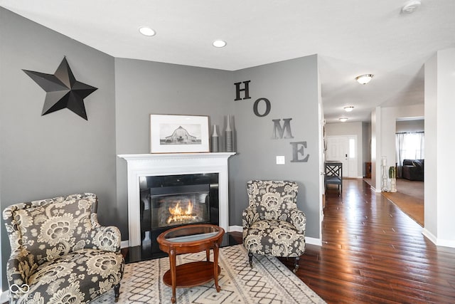 living area featuring dark wood-type flooring