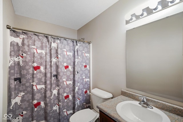 bathroom with toilet and vanity