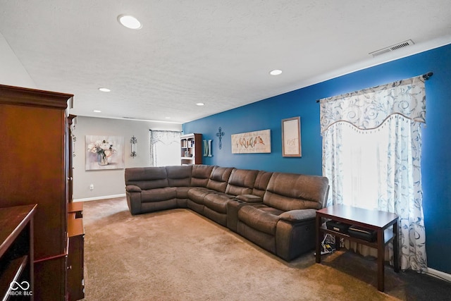 living room featuring a textured ceiling, a healthy amount of sunlight, and carpet floors