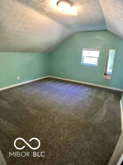 additional living space with carpet, lofted ceiling, and a textured ceiling