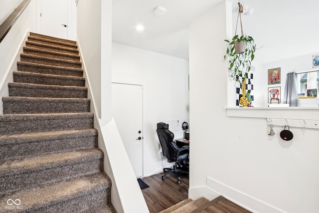 staircase featuring wood-type flooring