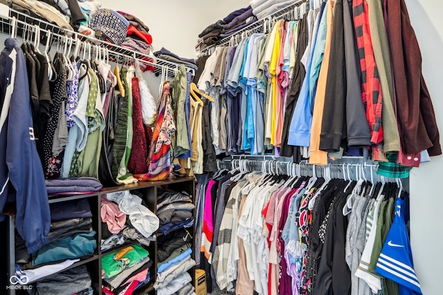 view of walk in closet