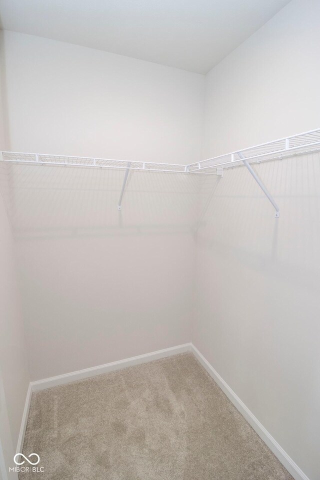 975 Red Hills Ct, Lebanon, IN 46052 - photo 19